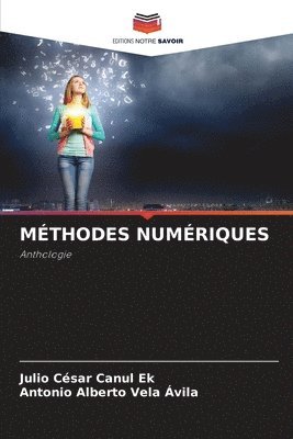 Julio Cesar Canul Ek, Antonio Alberto Vela Avila - Méthodes Numériques, Häftad