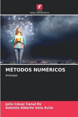 Julio Cesar Canul Ek, Antonio Alberto Vela Avila - Métodos Numéricos, Häftad