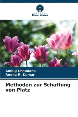 Methoden zur Schaffung von Platz 1