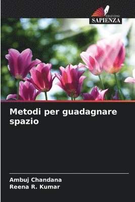 bokomslag Metodi per guadagnare spazio