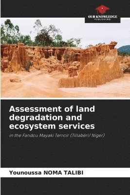 bokomslag Assessment of land degradation and ecosystem services