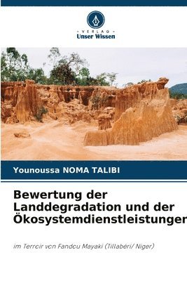 bokomslag Bewertung der Landdegradation und der kosystemdienstleistungen