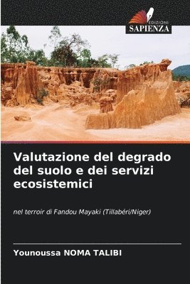 bokomslag Valutazione del degrado del suolo e dei servizi ecosistemici