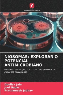 bokomslag Niosomas