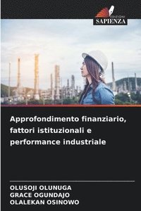 bokomslag Approfondimento finanziario, fattori istituzionali e performance industriale