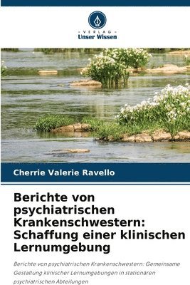 Berichte von psychiatrischen Krankenschwestern 1