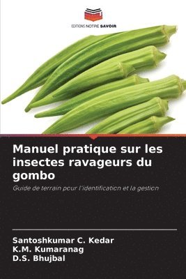 bokomslag Manuel pratique sur les insectes ravageurs du gombo