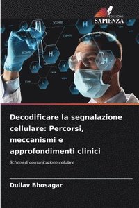 bokomslag Decodificare la segnalazione cellulare