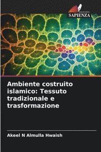 bokomslag Ambiente costruito islamico