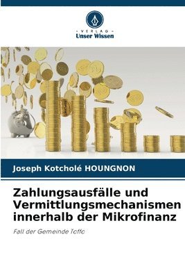Joseph Kotcholé Houngnon, Joseph Kotcholé - Zahlungsausfälle und Vermittlungsmechanismen innerhalb der Mikrofinanz, Häftad