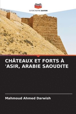 Châteaux Et Forts À 'Asir, Arabie Saoudite 1