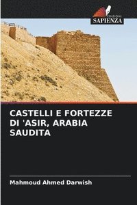 bokomslag Castelli E Fortezze Di 'Asir, Arabia Saudita