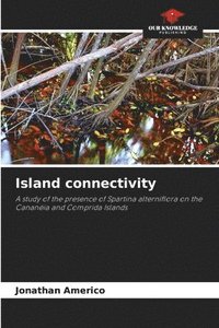 bokomslag Island connectivity