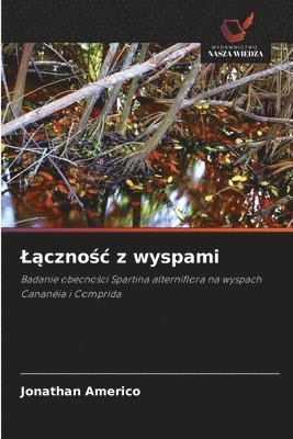 Lącznośc z wyspami