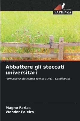 bokomslag Abbattere gli steccati universitari