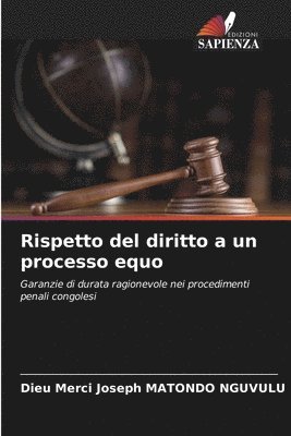 bokomslag Rispetto del diritto a un processo equo