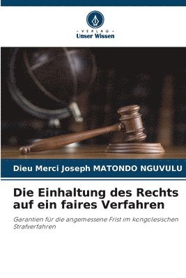 bokomslag Die Einhaltung des Rechts auf ein faires Verfahren