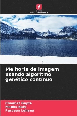 Melhoria de imagem usando algoritmo genético contínuo