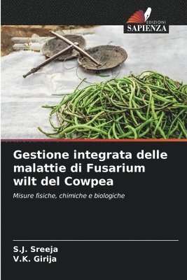 bokomslag Gestione integrata delle malattie di Fusarium wilt del Cowpea