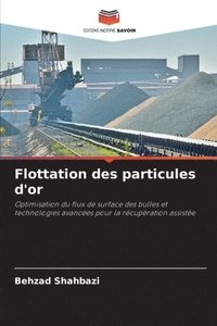 bokomslag Flottation des particules d'or