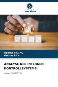 bokomslag Analyse Des Internen Kontrollsystems