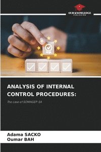 bokomslag Analysis of Internal Control Procedures