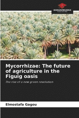 Mycorrhizae: The future of agriculture in the Figuig oasis 1