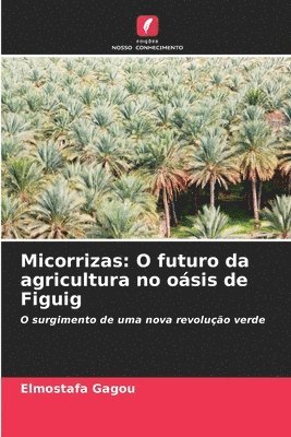 bokomslag Micorrizas: O futuro da agricultura no oásis de Figuig