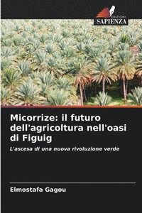 bokomslag Micorrize: il futuro dell'agricoltura nell'oasi di Figuig