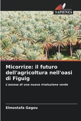 Micorrize: il futuro dell'agricoltura nell'oasi di Figuig 1