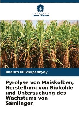 bokomslag Pyrolyse von Maiskolben, Herstellung von Biokohle und Untersuchung des Wachstums von Smlingen