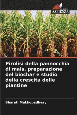 Pirolisi della pannocchia di mais, preparazione del biochar e studio della crescita delle piantine 1