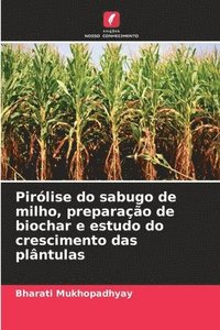 bokomslag Pirlise do sabugo de milho, preparao de biochar e estudo do crescimento das plntulas