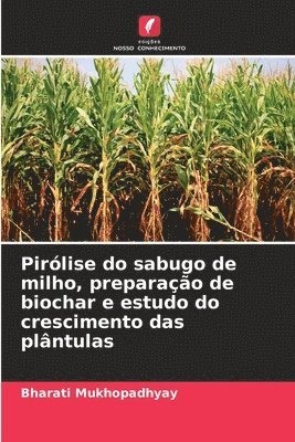 bokomslag Pirlise do sabugo de milho, preparao de biochar e estudo do crescimento das plntulas