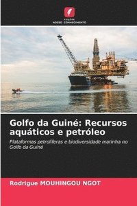 bokomslag Golfo da Guiné: Recursos aquáticos e petróleo