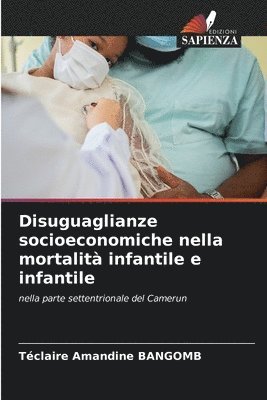 bokomslag Disuguaglianze socioeconomiche nella mortalit infantile e infantile