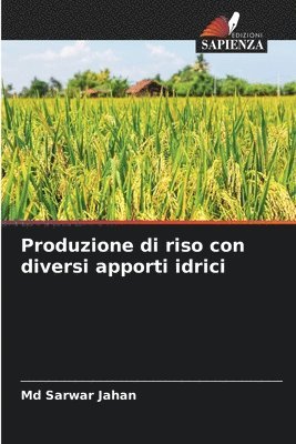 Produzione di riso con diversi apporti idrici