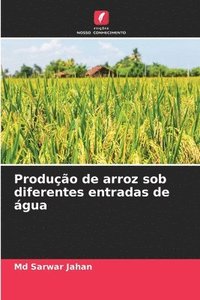 bokomslag Produo de arroz sob diferentes entradas de gua