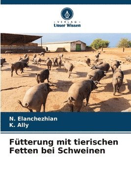 Ftterung mit tierischen Fetten bei Schweinen 1