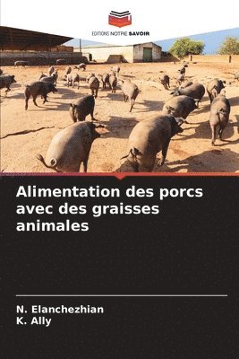 Alimentation des porcs avec des graisses animales 1