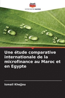 bokomslag étude comparative internationale de la microfinance au Maroc et en Egypte