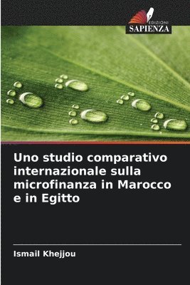 bokomslag Uno studio comparativo internazionale sulla microfinanza in Marocco e in Egitto