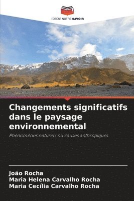 bokomslag Changements significatifs dans le paysage environnemental