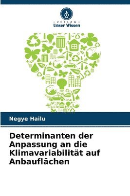 Negye Hailu - Determinanten der Anpassung an die Klimavariabilität auf Anbauflächen, Häftad
