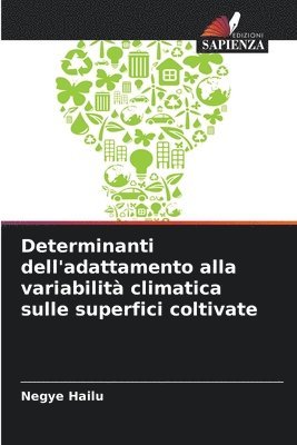 Negye Hailu - Determinanti dell'adattamento alla variabilità climatica sulle superfici coltivate, Häftad