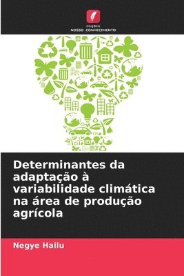 bokomslag Determinantes da adaptao  variabilidade climtica na rea de produo agrcola