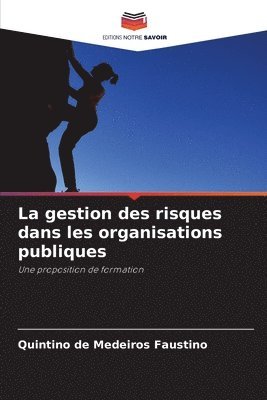 Quintino de Medeiros Faustino - gestion des risques dans les organisations publiques, Häftad