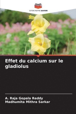 Effet du calcium sur le gladiolus 1