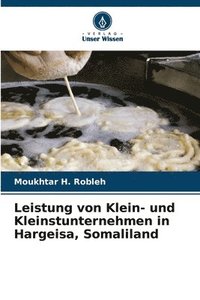 bokomslag Leistung von Klein- und Kleinstunternehmen in Hargeisa, Somaliland