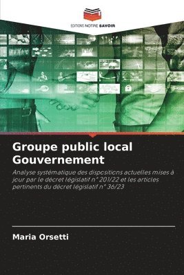 bokomslag Groupe public local Gouvernement